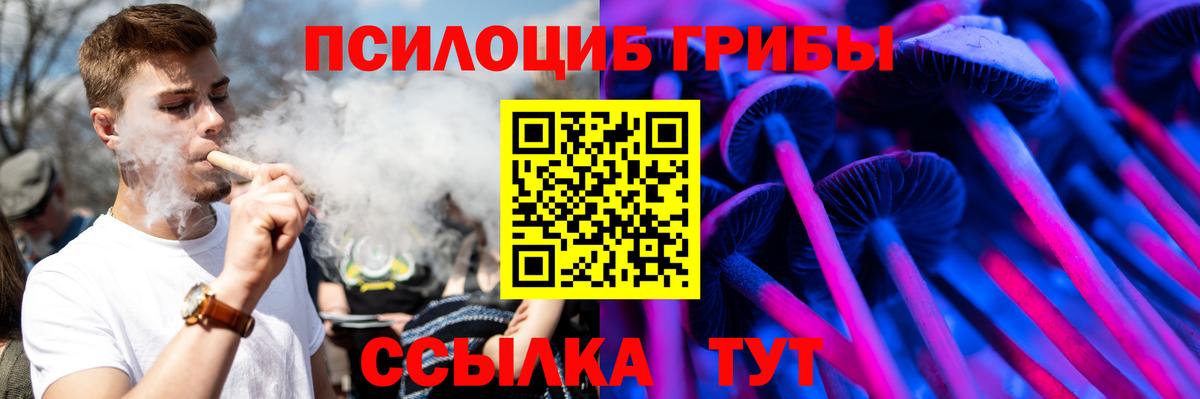 Шарыпово  купить закладку  Вход с VPN  Галлюциногенные грибы прущие грибы 